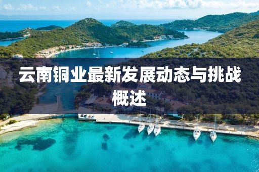 云南铜业最新发展动态与挑战概述