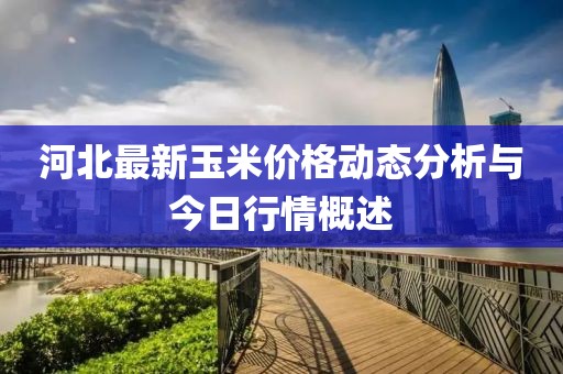 河北最新玉米价格动态分析与今日行情概述