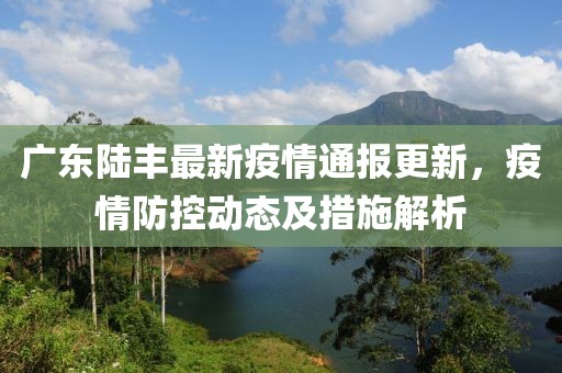广东陆丰最新疫情通报更新，疫情防控动态及措施解析