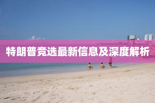 特朗普竞选最新信息及深度解析