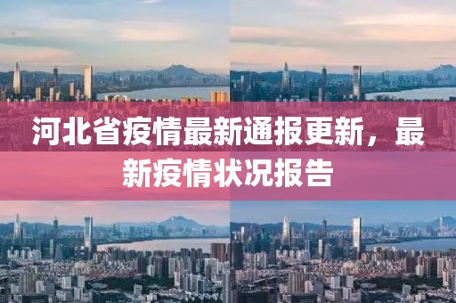 河北省疫情最新通报更新，最新疫情状况报告