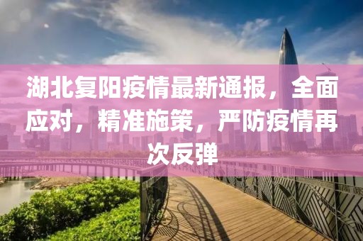 湖北复阳疫情最新通报，全面应对，精准施策，严防疫情再次反弹