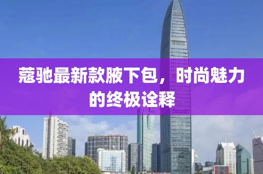 蔻驰最新款腋下包，时尚魅力的终极诠释