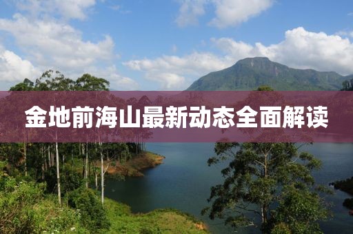 金地前海山最新动态全面解读