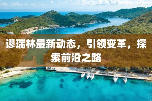 谬瑞林最新动态，引领变革，探索前沿之路