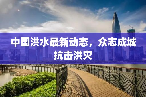 中国洪水最新动态，众志成城抗击洪灾
