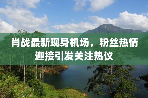 肖战最新现身机场，粉丝热情迎接引发关注热议