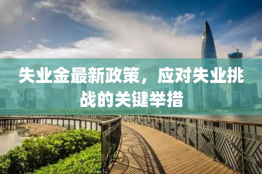 失业金最新政策，应对失业挑战的关键举措