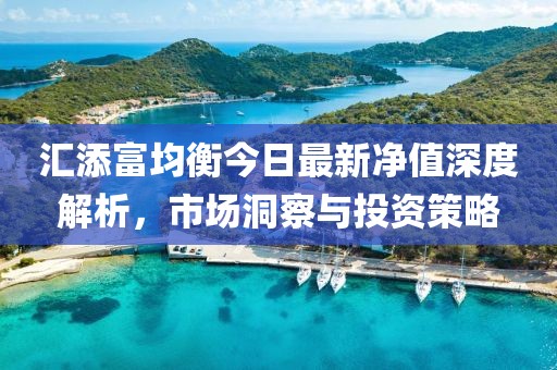 汇添富均衡今日最新净值深度解析，市场洞察与投资策略