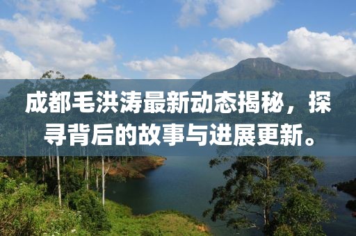 成都毛洪涛最新动态揭秘，探寻背后的故事与进展更新。