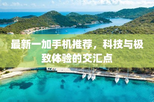 最新一加手机推荐，科技与极致体验的交汇点