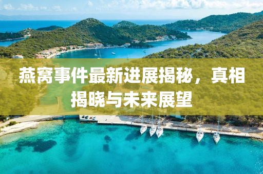 燕窝事件最新进展揭秘，真相揭晓与未来展望