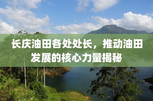 长庆油田各处处长，推动油田发展的核心力量揭秘