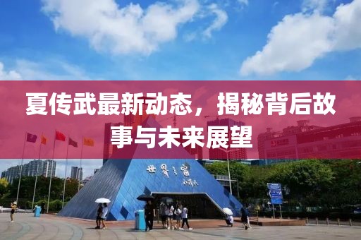 夏传武最新动态，揭秘背后故事与未来展望