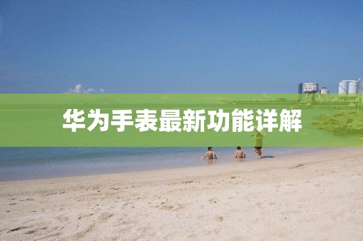 华为手表最新功能详解
