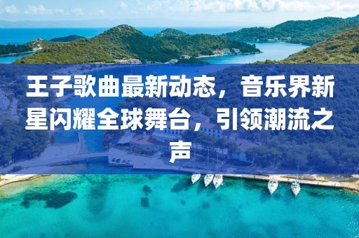 王子歌曲最新动态，音乐界新星闪耀全球舞台，引领潮流之声