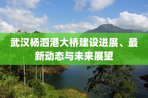 武汉杨泗港大桥建设进展、最新动态与未来展望