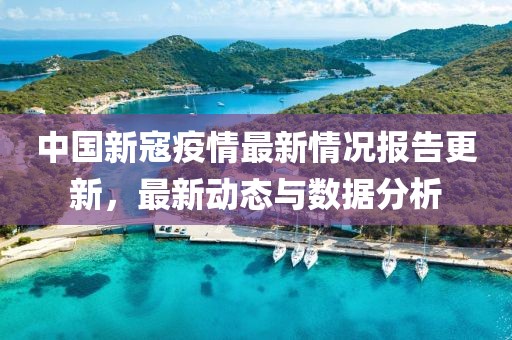 中国新寇疫情最新情况报告更新，最新动态与数据分析
