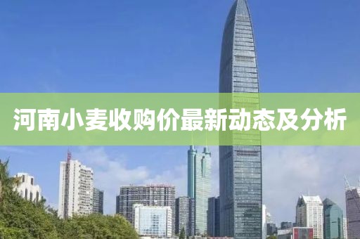 河南小麦收购价最新动态及分析