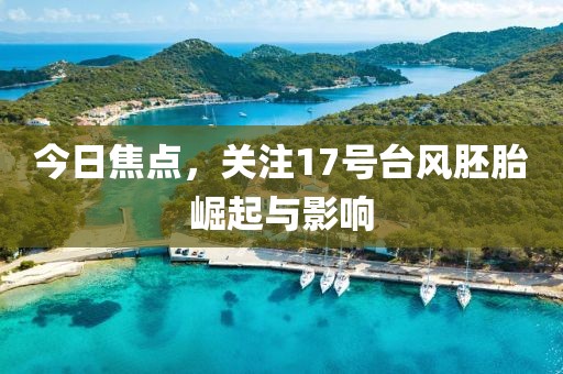 今日焦点，关注17号台风胚胎崛起与影响