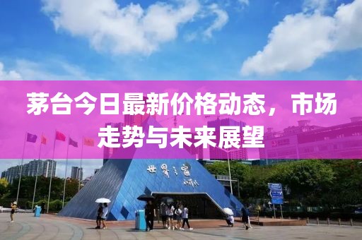 茅台今日最新价格动态，市场走势与未来展望