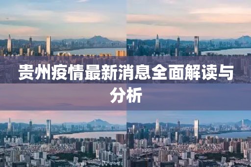 贵州疫情最新消息全面解读与分析