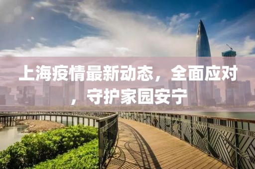 上海疫情最新动态，全面应对，守护家园安宁
