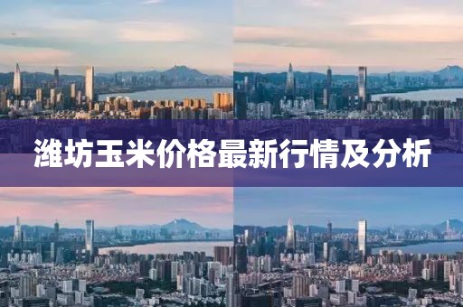 潍坊玉米价格最新行情及分析