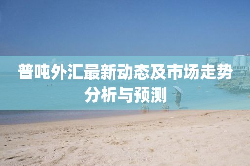 普吨外汇最新动态及市场走势分析与预测