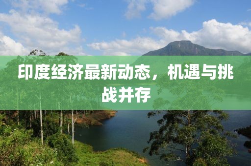 印度经济最新动态，机遇与挑战并存
