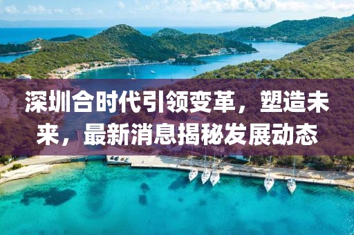 深圳合时代引领变革，塑造未来，最新消息揭秘发展动态