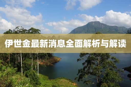 伊世金最新消息全面解析与解读