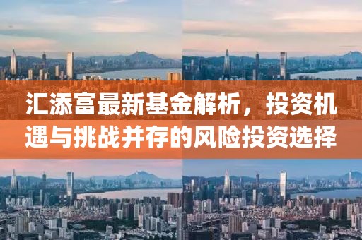 汇添富最新基金解析，投资机遇与挑战并存的风险投资选择