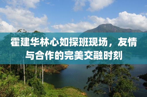 霍建华林心如探班现场，友情与合作的完美交融时刻