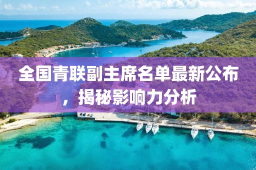 全国青联副主席名单最新公布，揭秘影响力分析