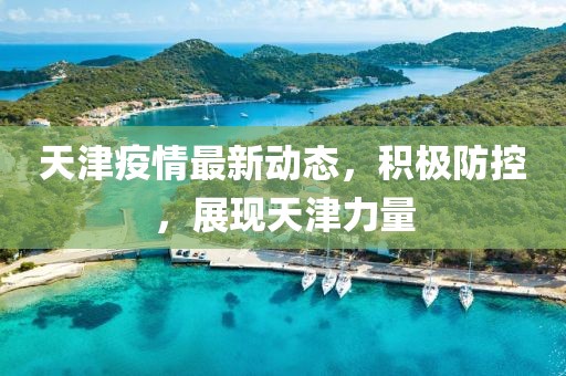 天津疫情最新动态，积极防控，展现天津力量