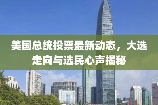 美国总统投票最新动态，大选走向与选民心声揭秘