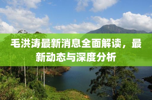 毛洪涛最新消息全面解读，最新动态与深度分析