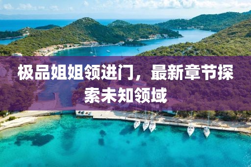 极品姐姐领进门，最新章节探索未知领域