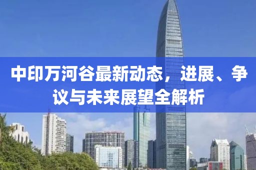 中印万河谷最新动态，进展、争议与未来展望全解析