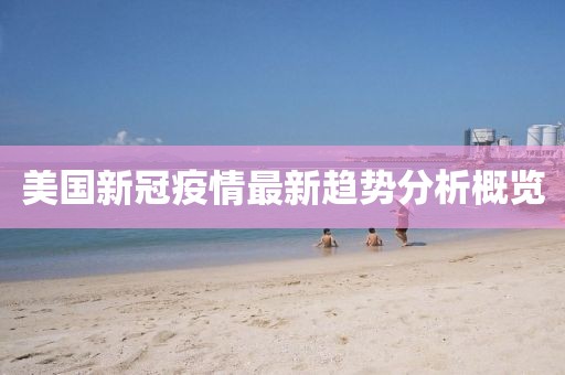 美国新冠疫情最新趋势分析概览