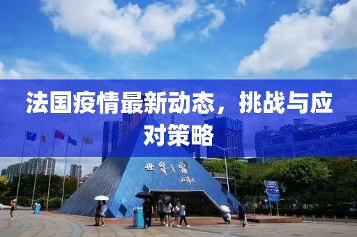 法国疫情最新动态，挑战与应对策略