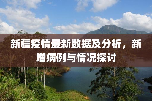 新疆疫情最新数据及分析，新增病例与情况探讨