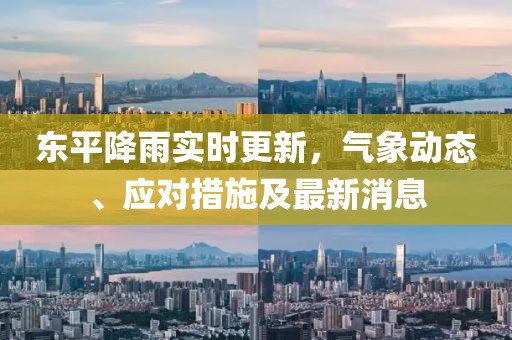 东平降雨实时更新，气象动态、应对措施及最新消息