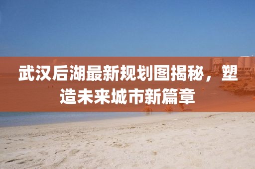 武汉后湖最新规划图揭秘，塑造未来城市新篇章
