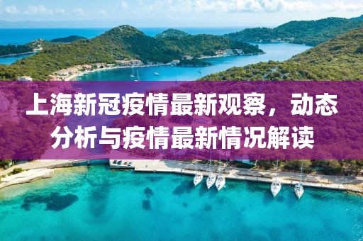上海新冠疫情最新观察，动态分析与疫情最新情况解读