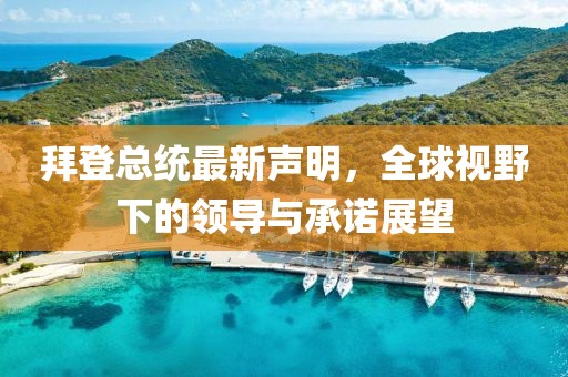 拜登总统最新声明，全球视野下的领导与承诺展望