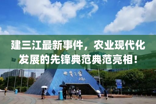 建三江最新事件，农业现代化发展的先锋典范典范亮相！