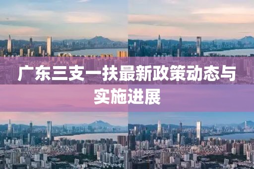 广东三支一扶最新政策动态与实施进展