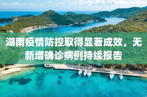 湖南疫情防控取得显著成效，无新增确诊病例持续报告